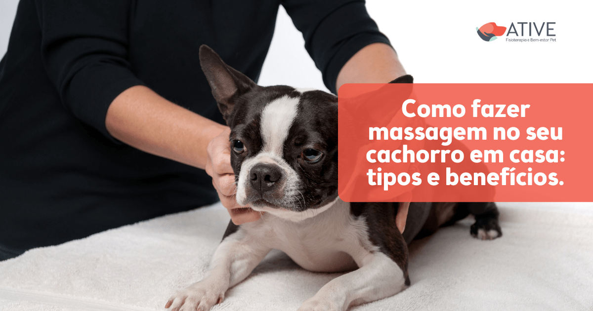 Como fazer massagem no seu cachorro em casa: tipos e benefícios. - Ative -  Fisioterapia e Bem-estar Pet
